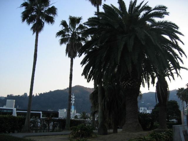 IMG_0694.JPG