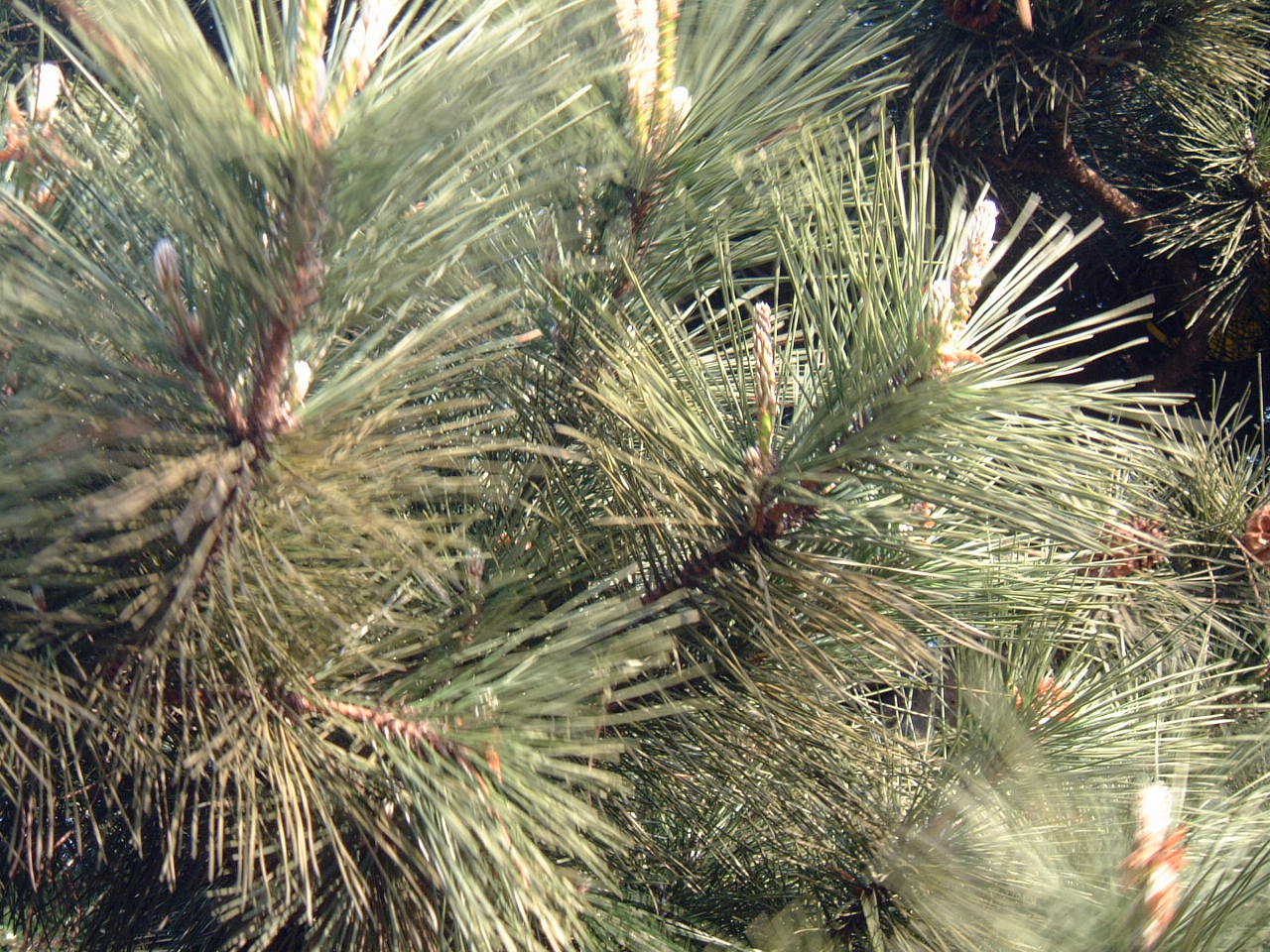DSCF0072.JPG