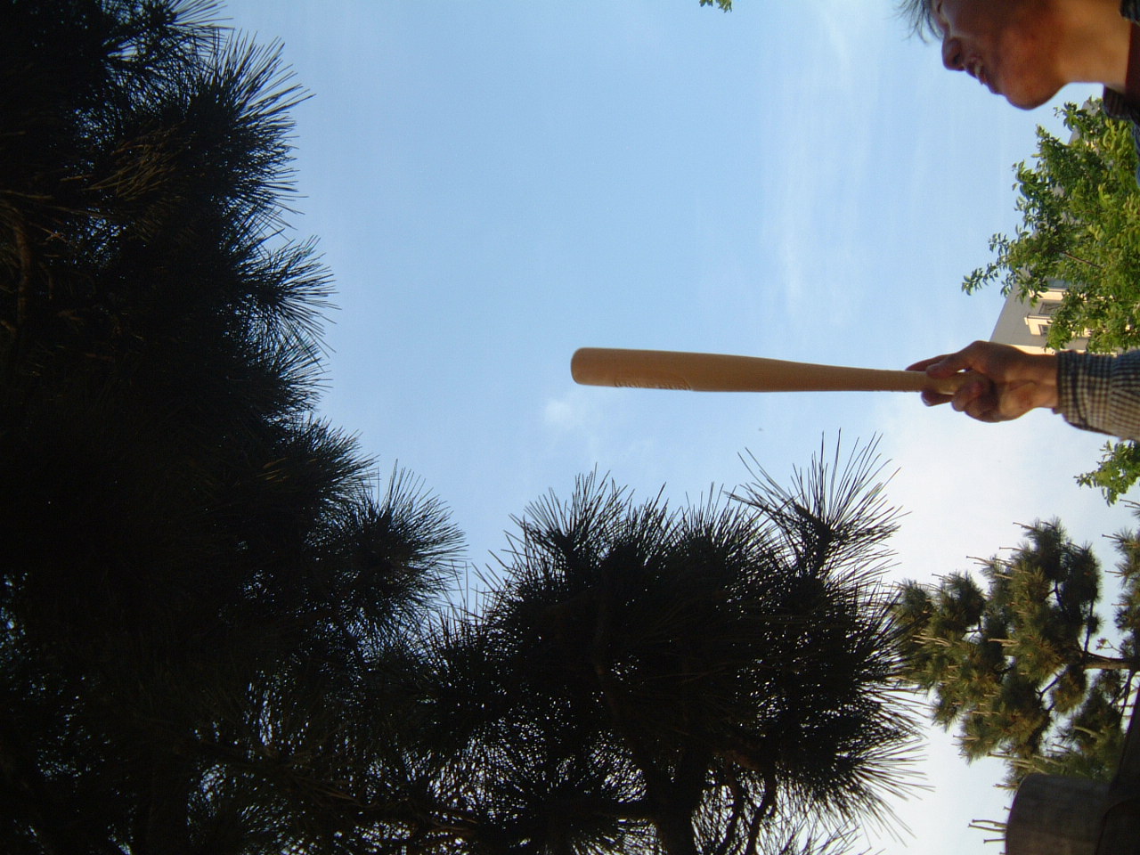 DSCF0083.JPG