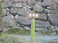 IMG_3922_thumb.png