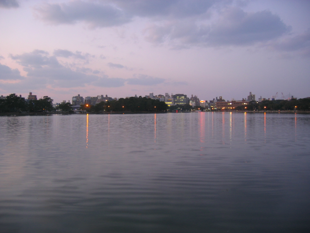 IMG_3940.JPG