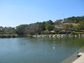 IMG_4014_thumb.png