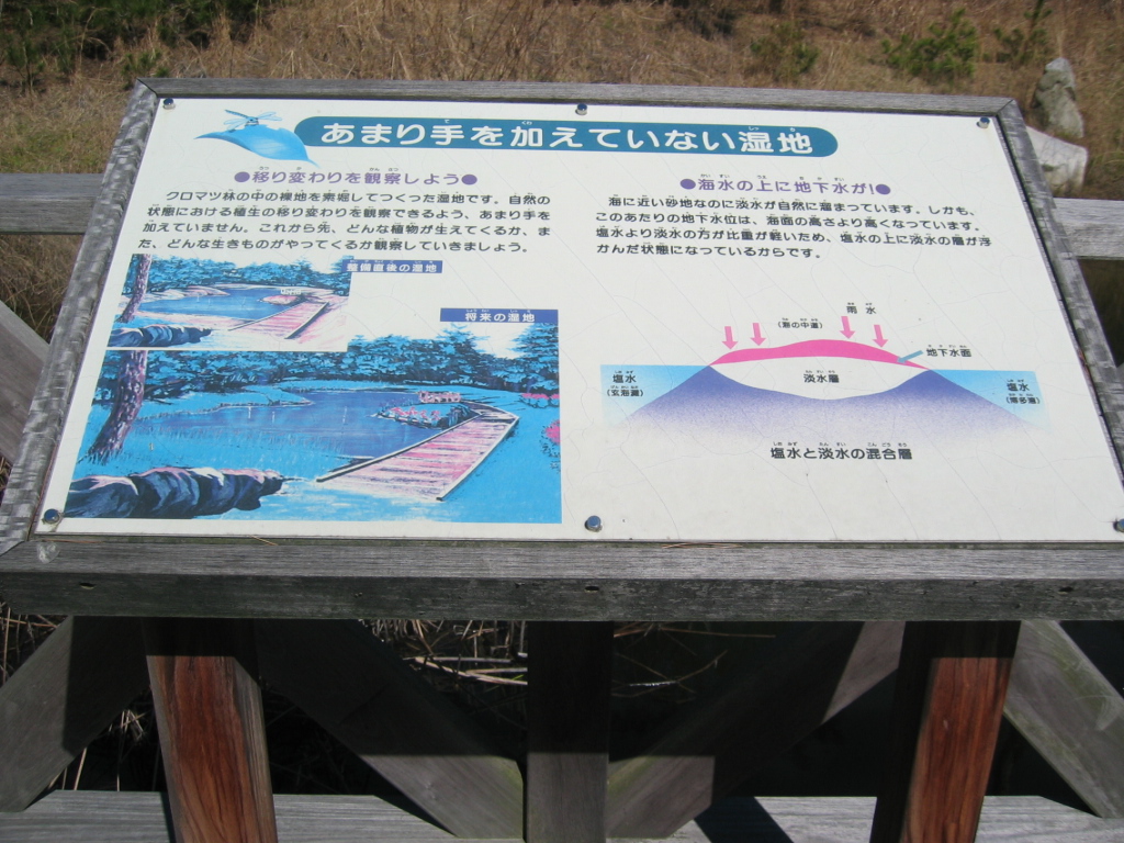 IMG_4030.JPG