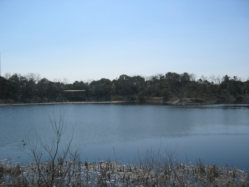 IMG_4033.JPG