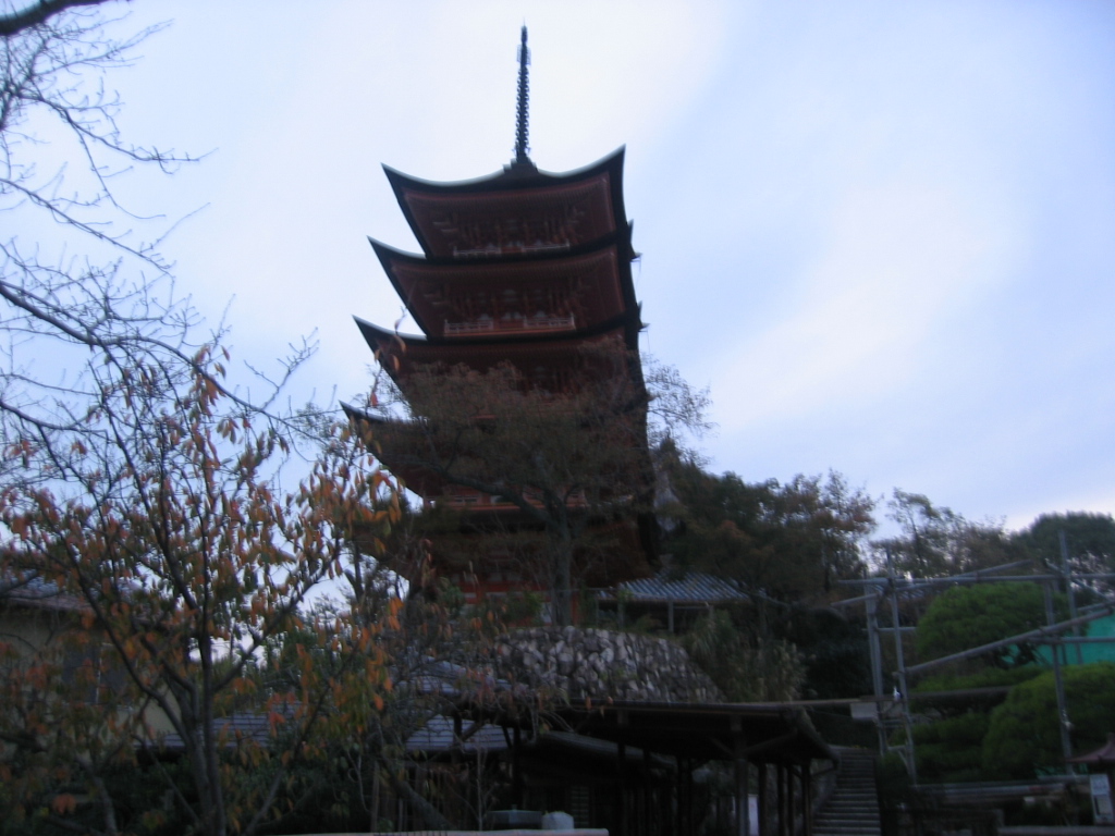 IMG_3611.JPG