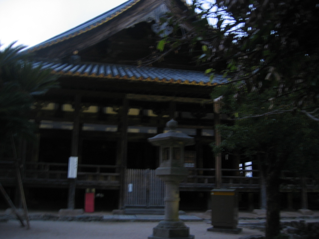 IMG_3621.JPG