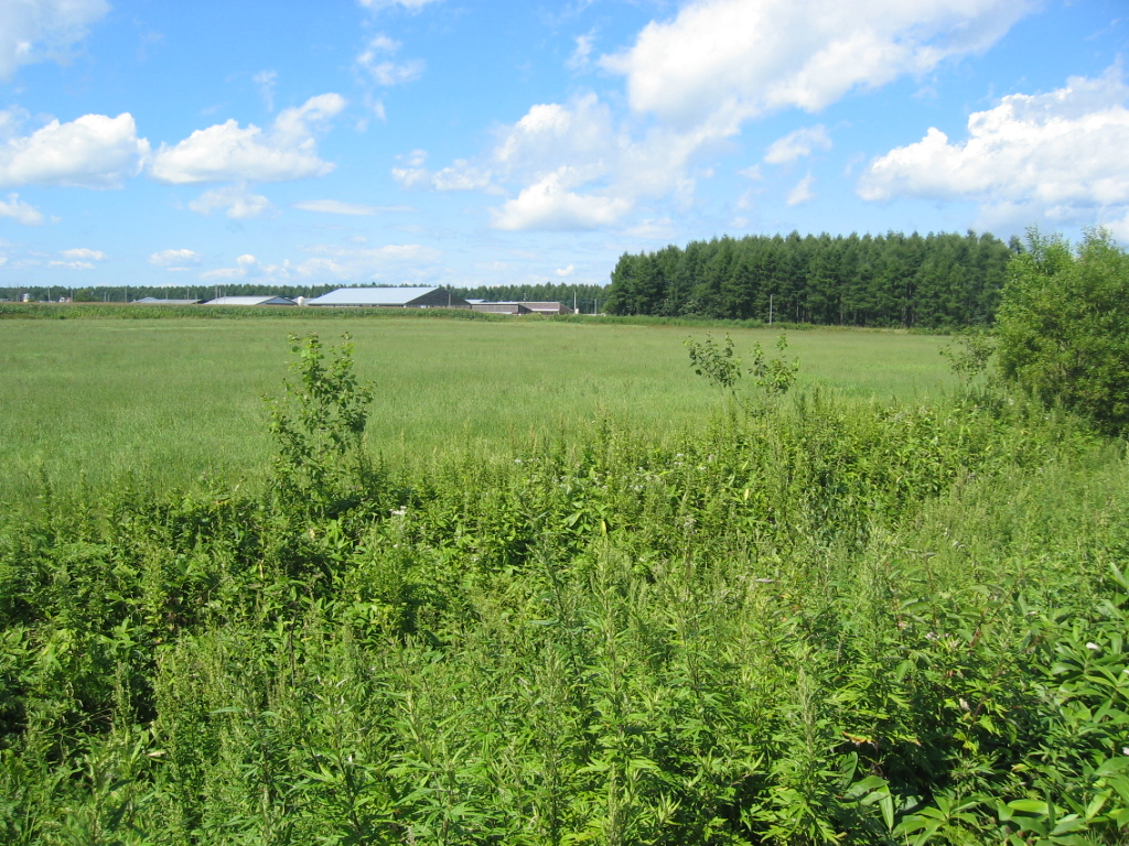 IMG_2690.JPG