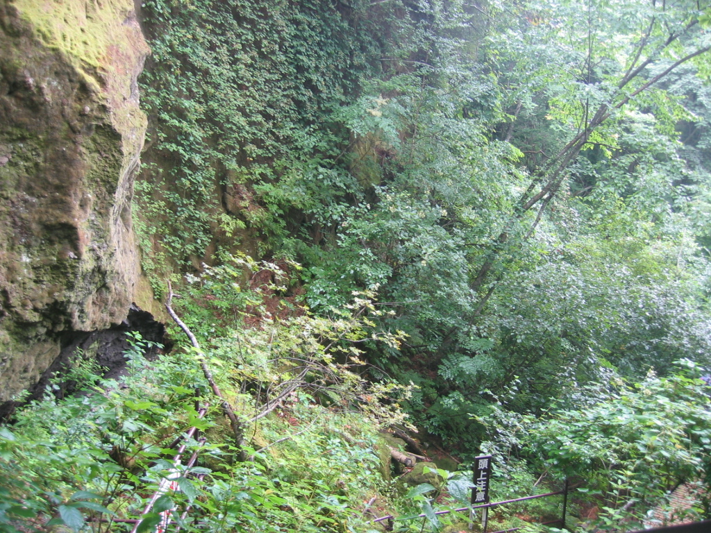 IMG_3209.JPG