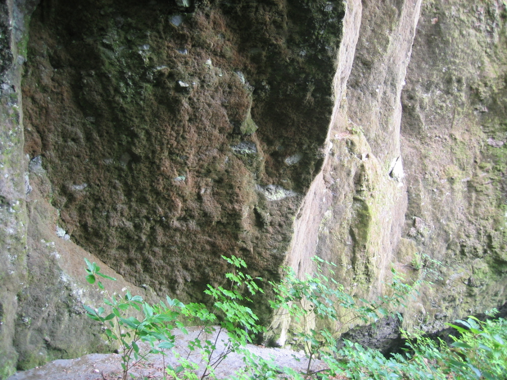 IMG_3210.JPG