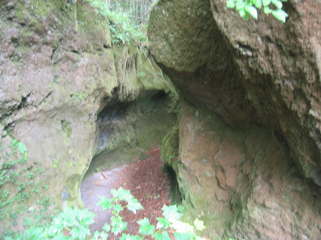 IMG_3212.JPG
