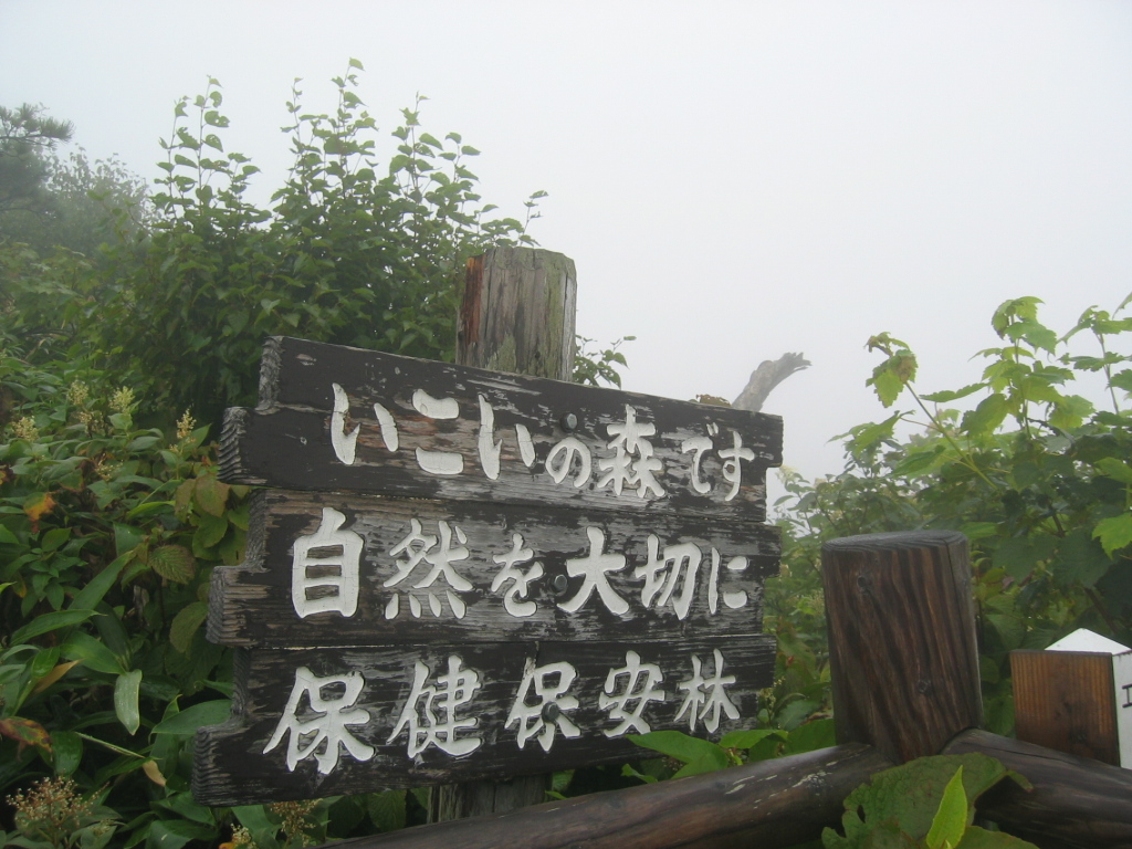 IMG_2847.JPG