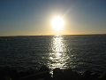 IMG_2979_thumb.png