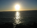 IMG_2982_thumb.png