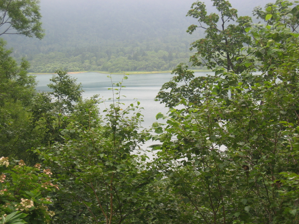 IMG_3162.JPG