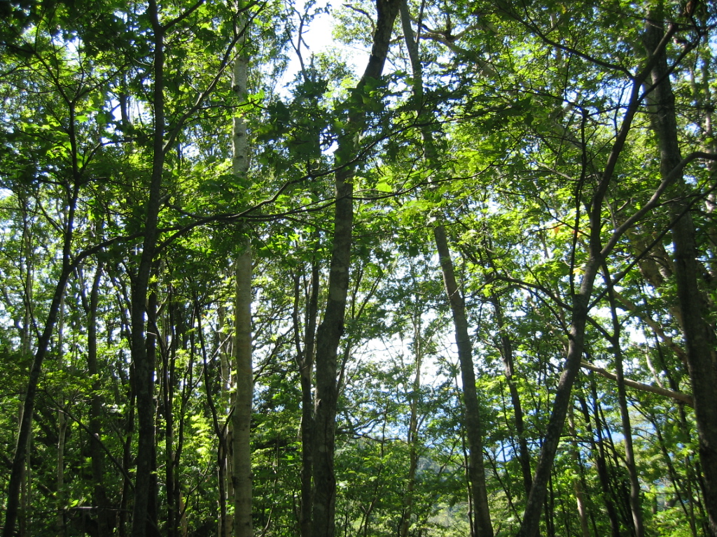 IMG_3110.JPG