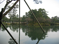 IMG_0984_thumb.png