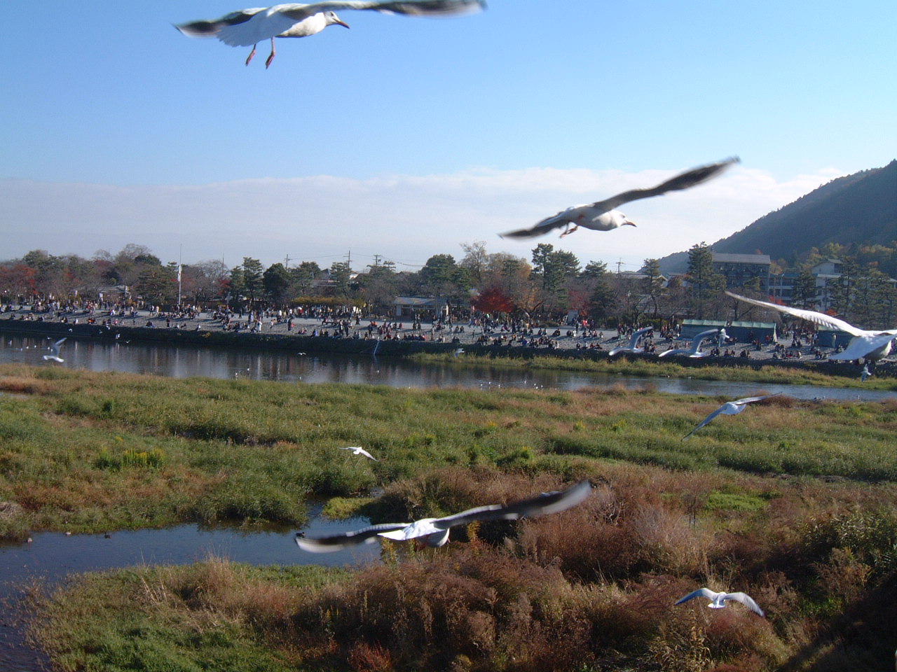 DSCF0026.JPG