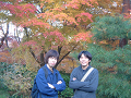 DSCF0048_thumb.png