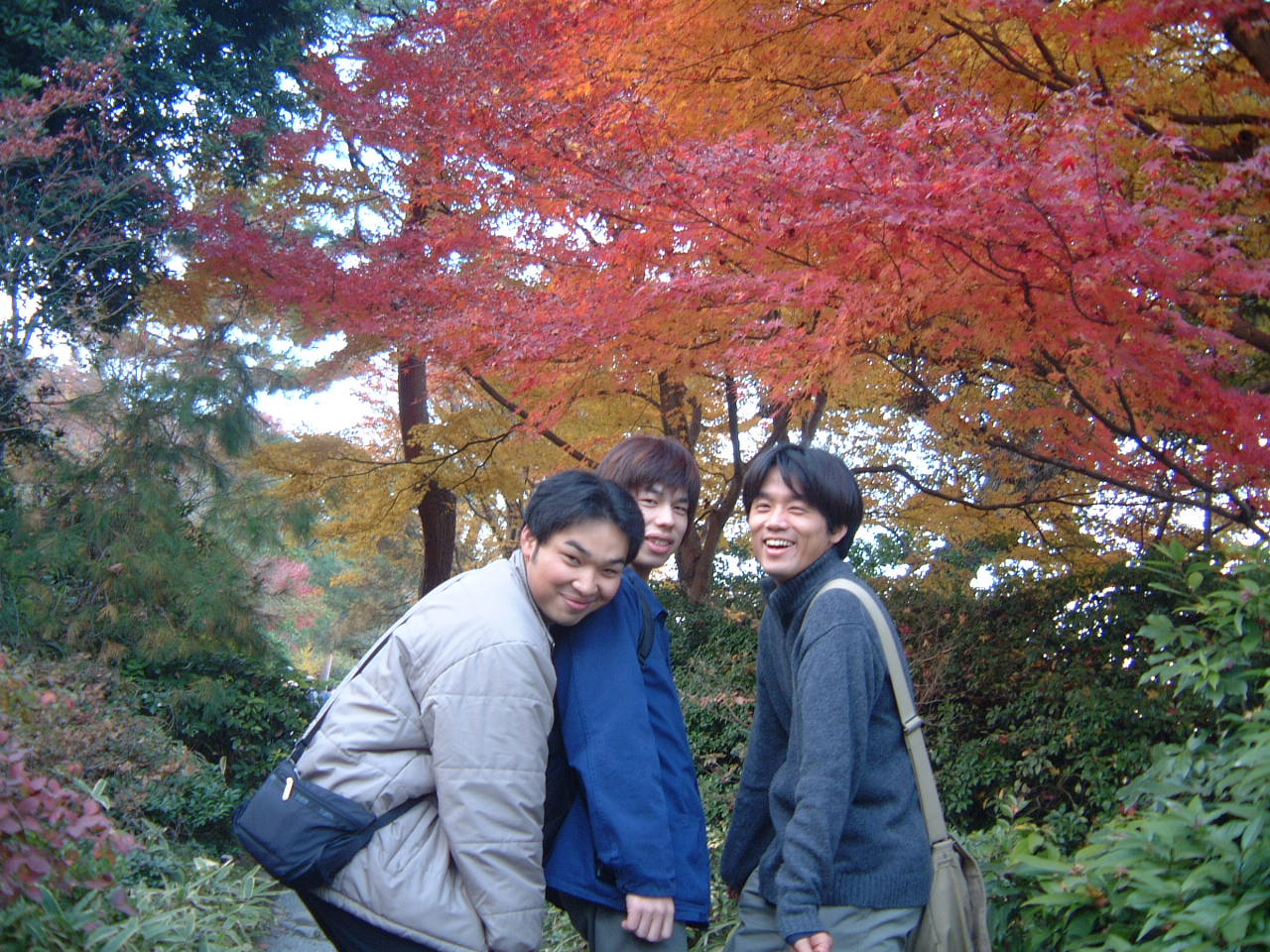 DSCF0056.JPG
