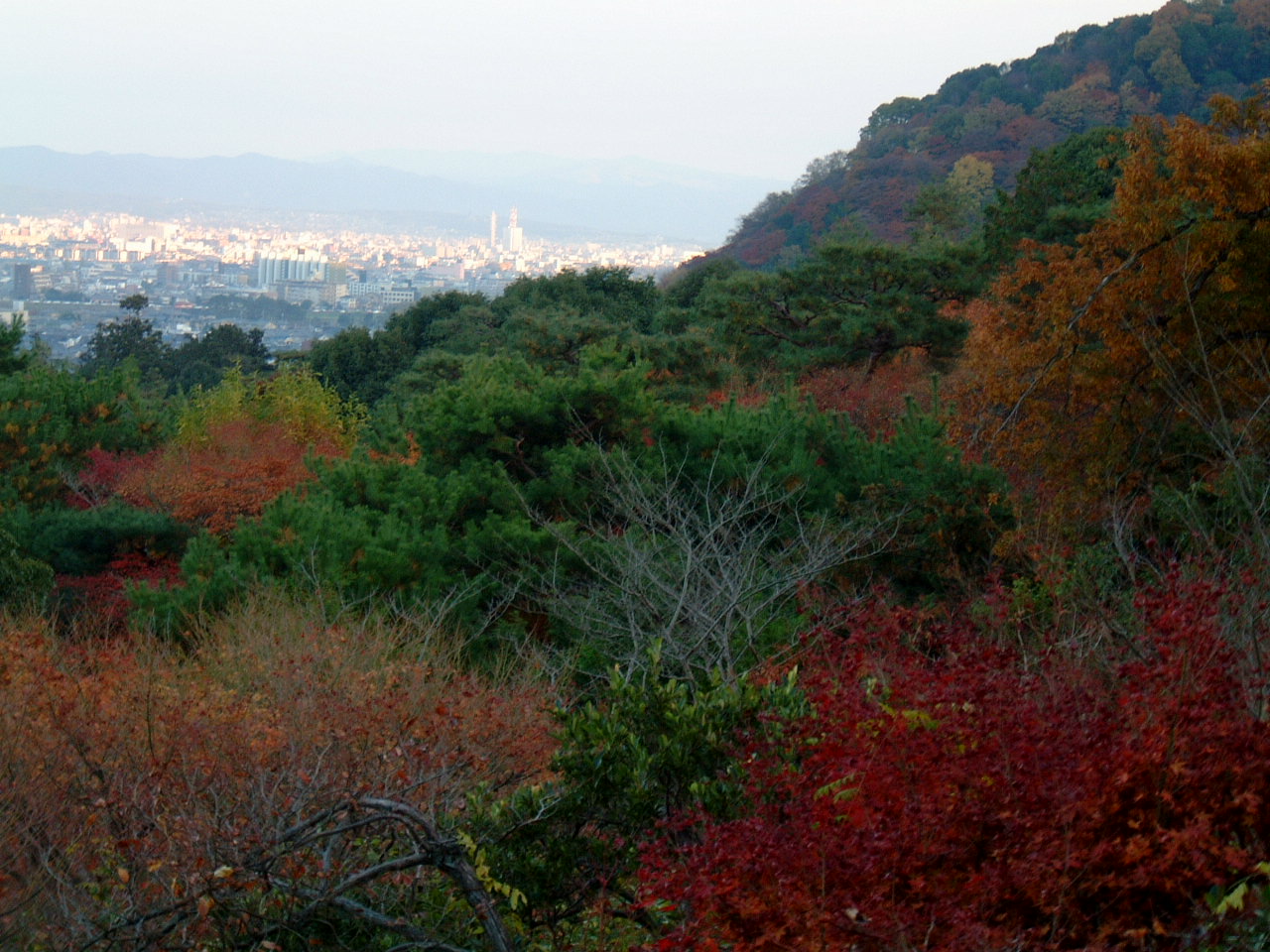 DSCF0059.JPG