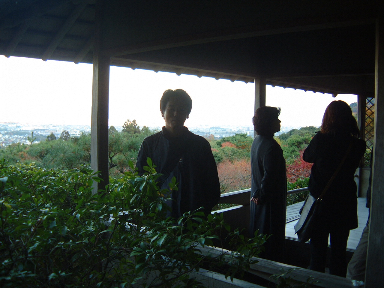 DSCF0061.JPG