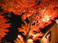 DSCF0081_thumb.png