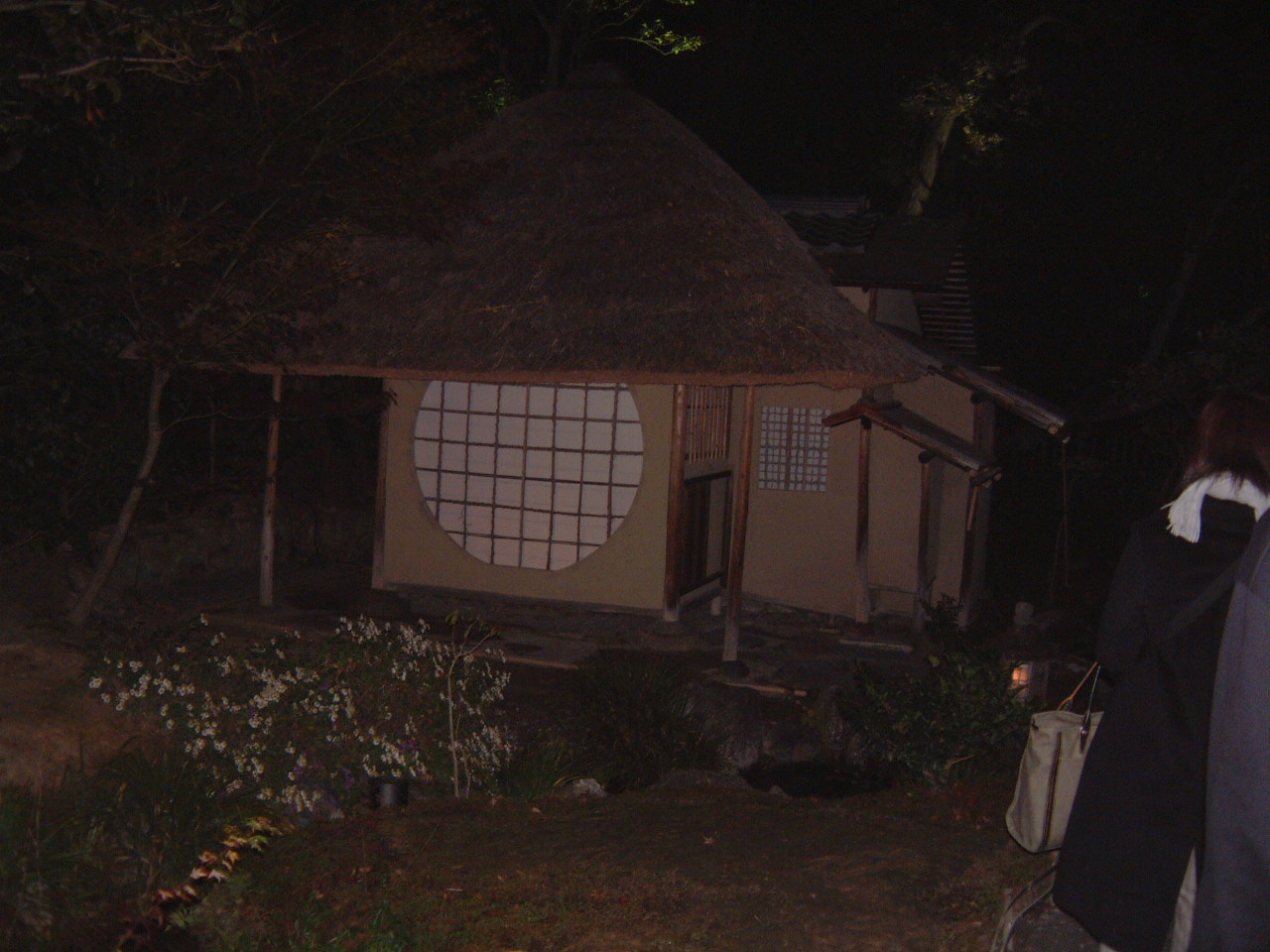DSCF0089.JPG