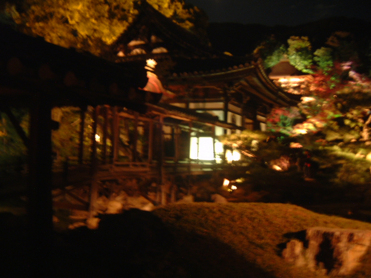 DSCF0093.JPG