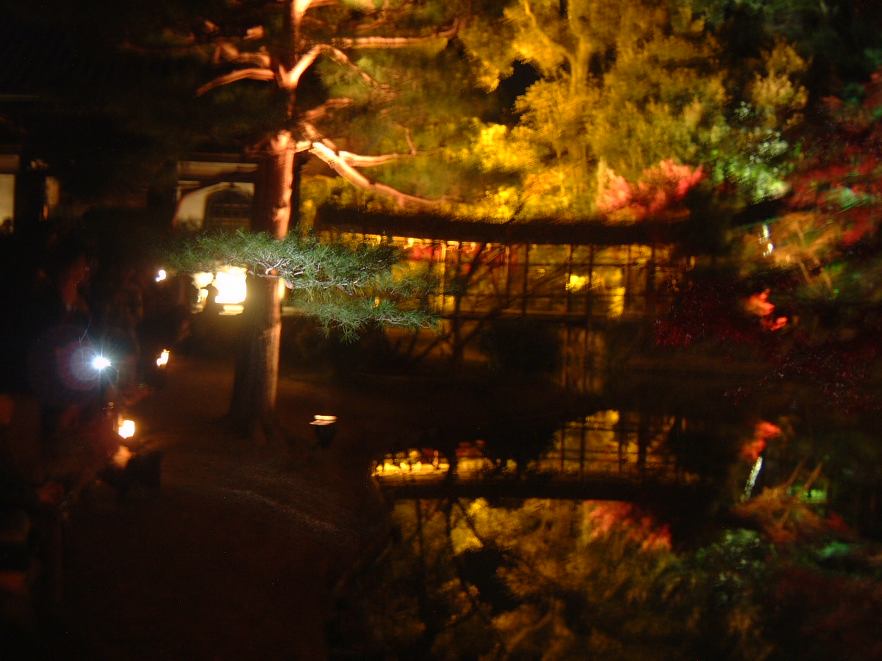 DSCF0100.JPG