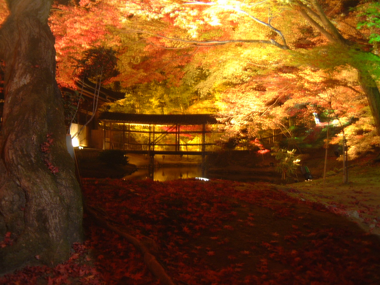DSCF0121.JPG