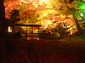 DSCF0122_thumb.png