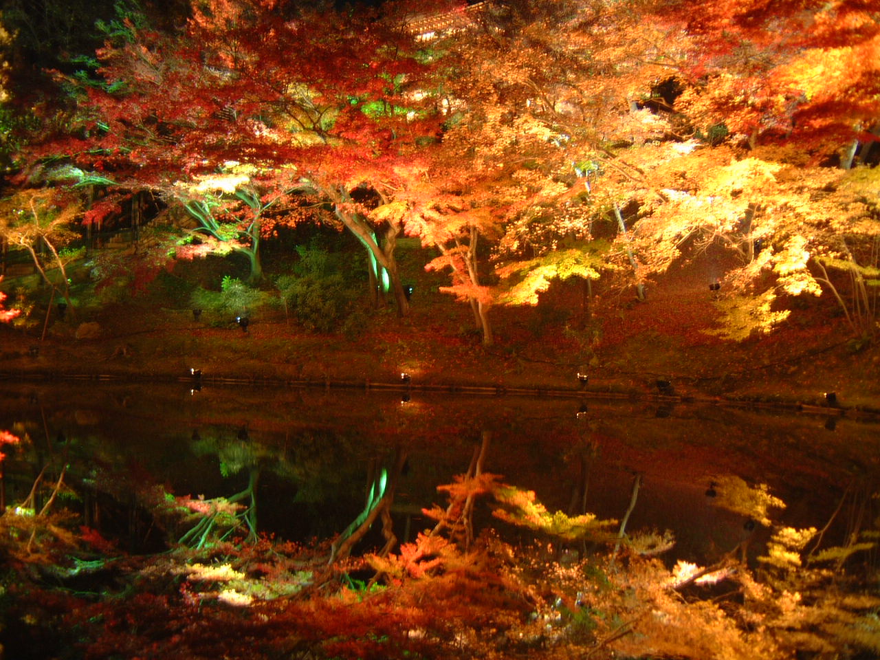 DSCF0128.JPG