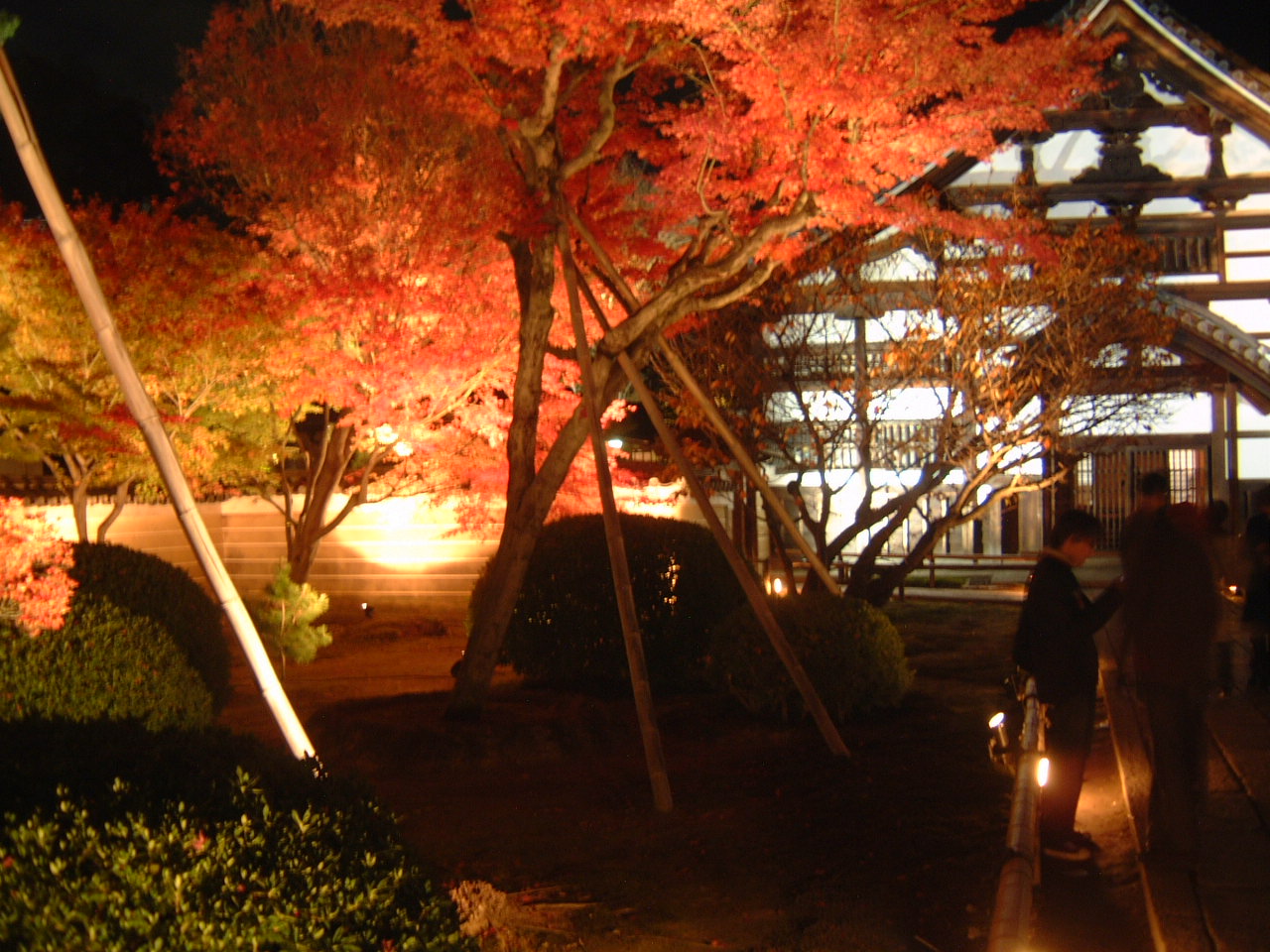 DSCF0136.JPG