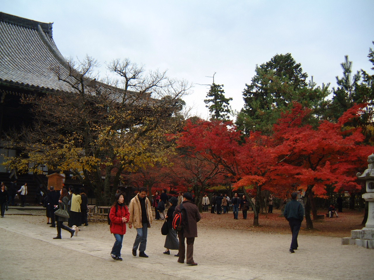 DSCF0142.JPG