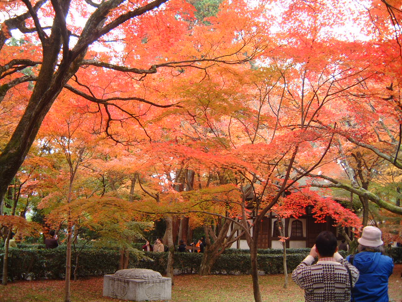 DSCF0149.JPG