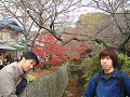 DSCF0178_thumb.png