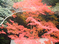 DSCF0179_thumb.png