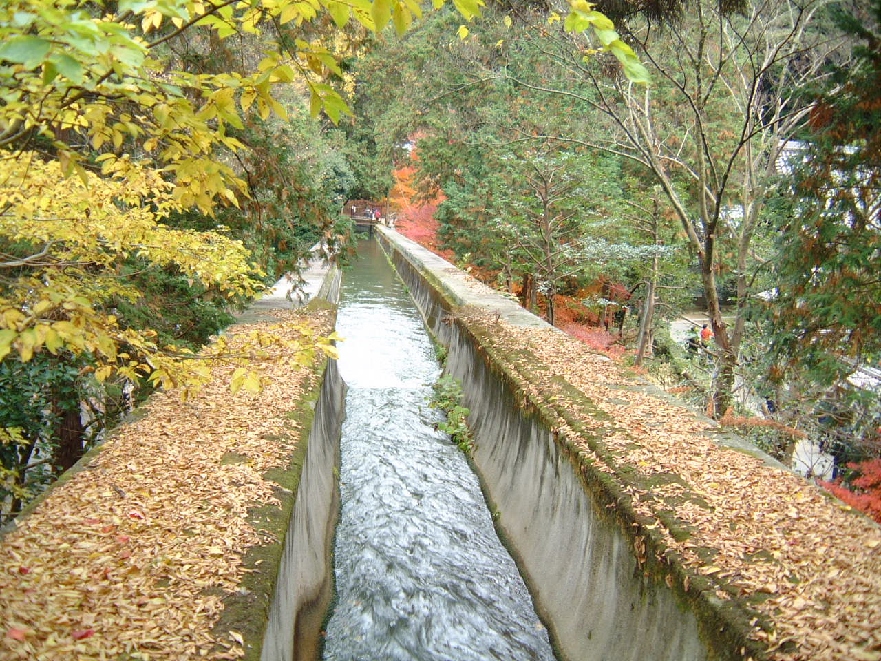 DSCF0192.JPG