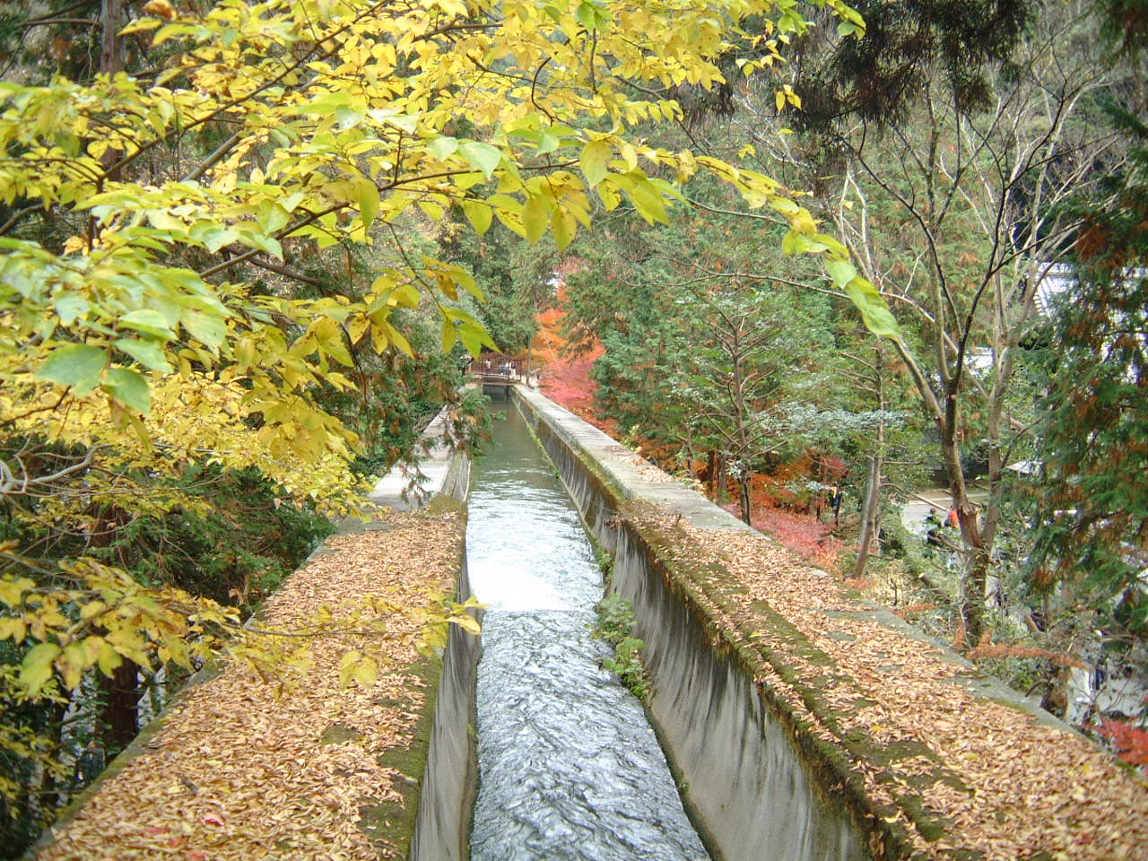 DSCF0193.JPG