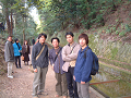 DSCF0196_thumb.png