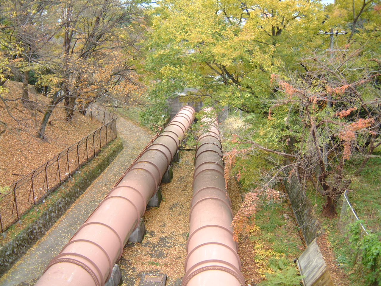 DSCF0197.JPG