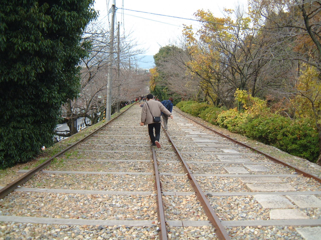DSCF0201.JPG