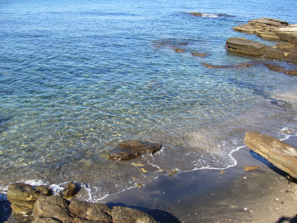P1000587.JPG