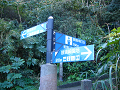P1000607_thumb.png