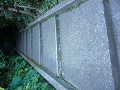 P1000609_thumb.png