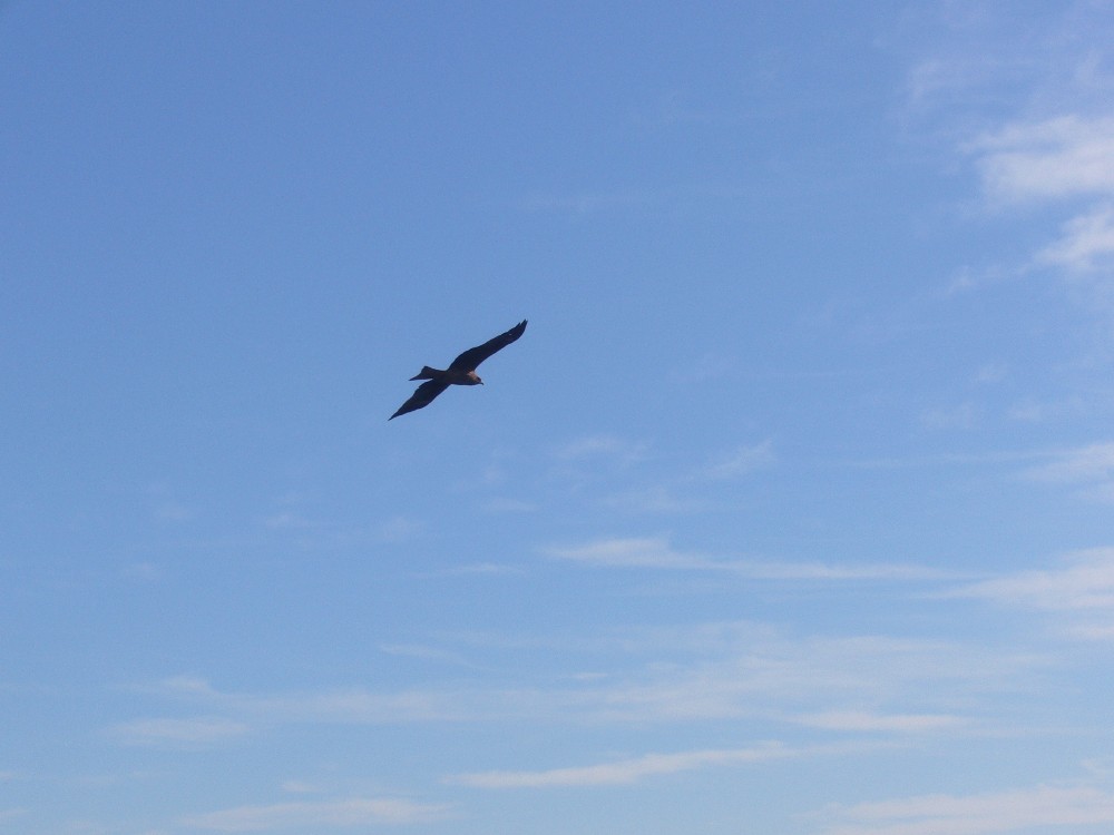 P1000627.JPG