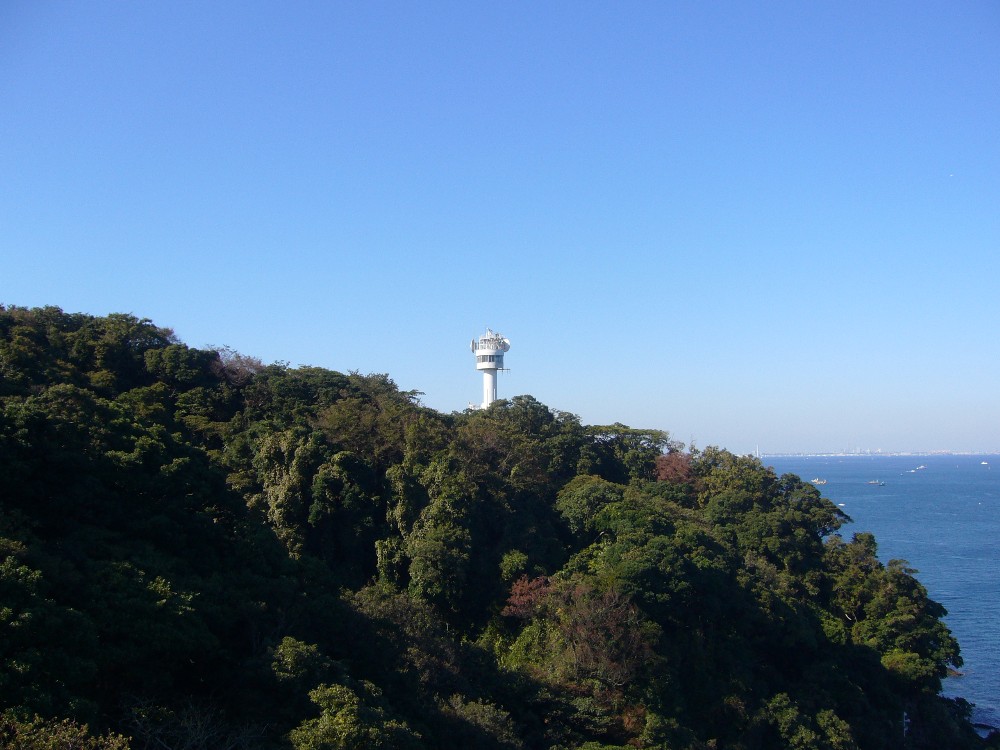 P1000629.JPG