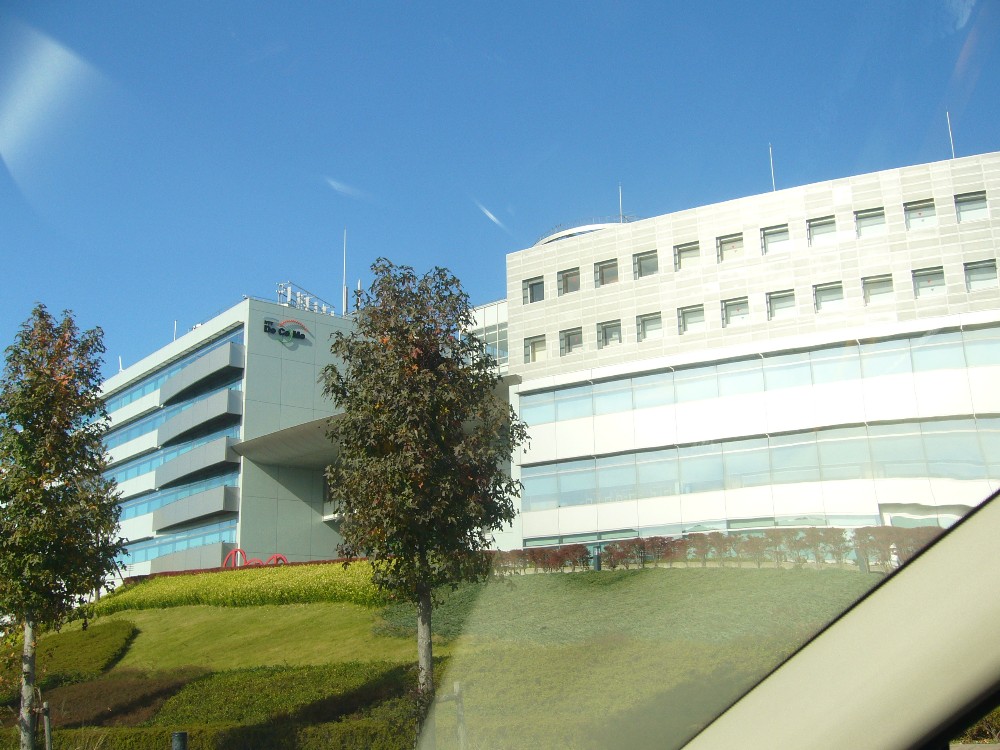 P1000648.JPG