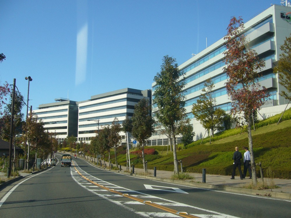 P1000649.JPG