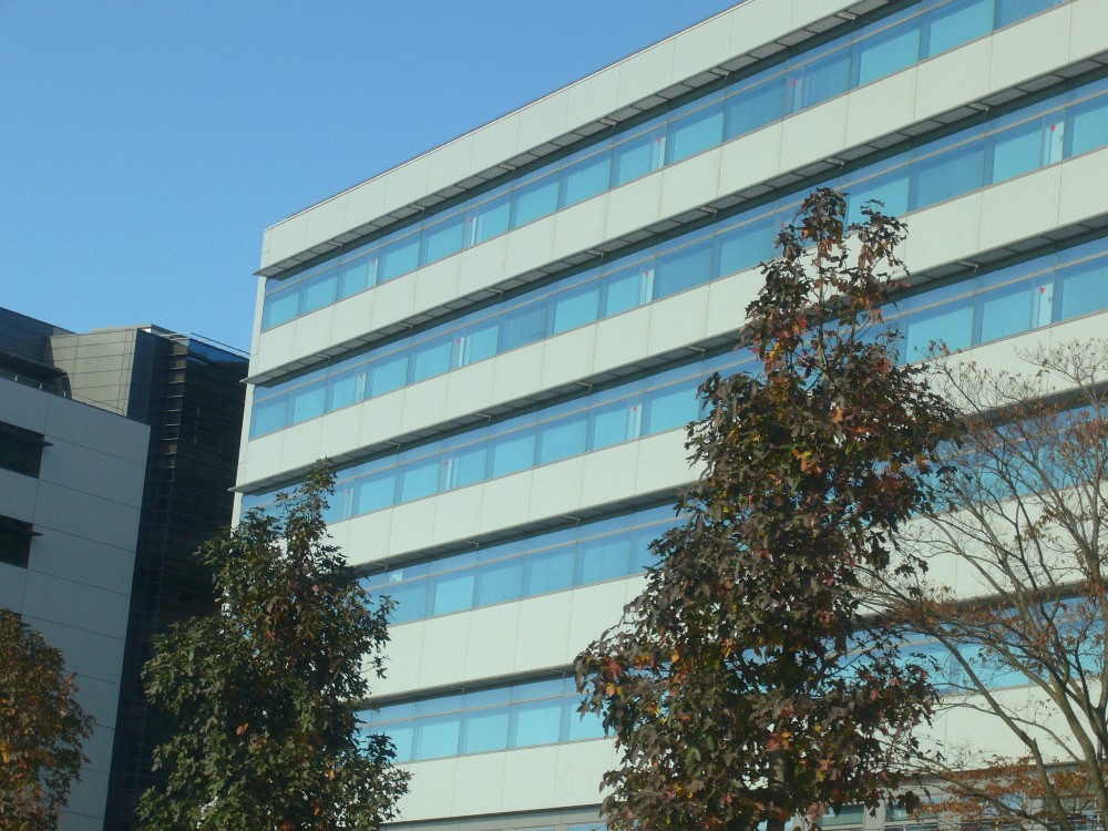 P1000650.JPG
